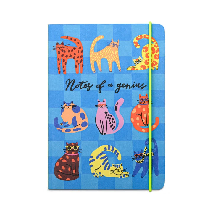 Notebook - Notes of a Genius